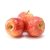 Appel Gala kg 